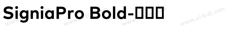 SigniaPro Bold字体转换